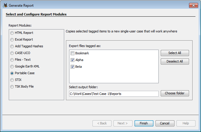 portable_case_report_panel.png