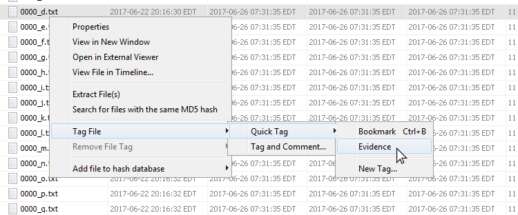 central_repo_tag_file.png
