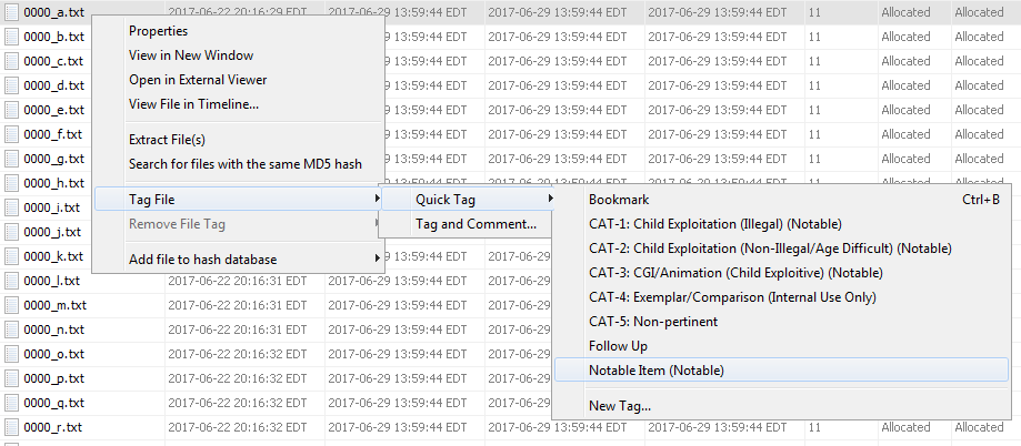 central_repo_tag_file.png